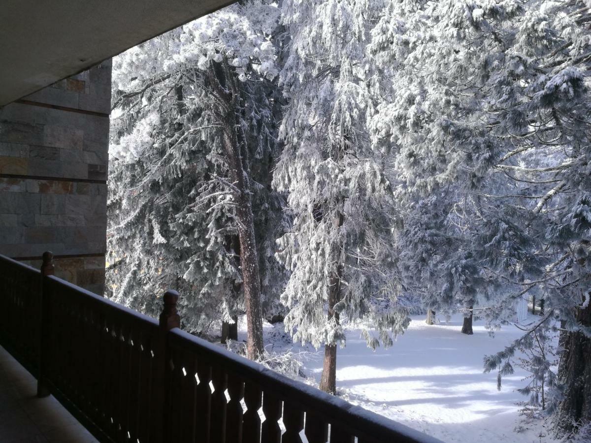 Luxury Apartament In "Sequoia" 2 Borovets Exterior foto